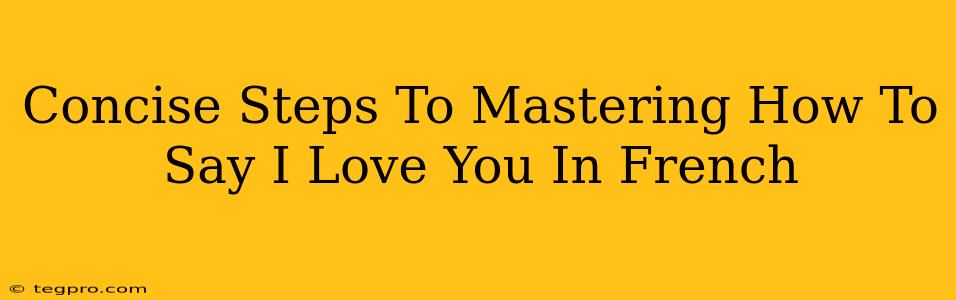 Concise Steps To Mastering How To Say I Love You In French