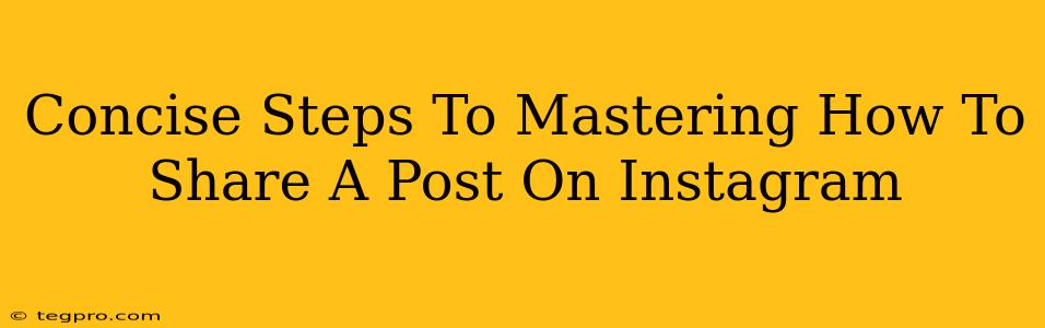 Concise Steps To Mastering How To Share A Post On Instagram