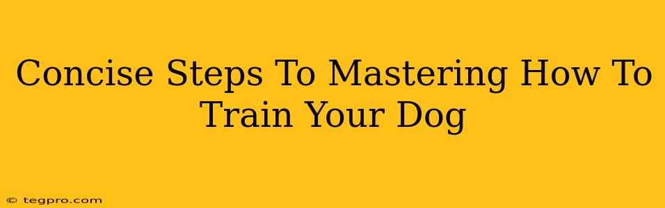 Concise Steps To Mastering How To Train Your Dog