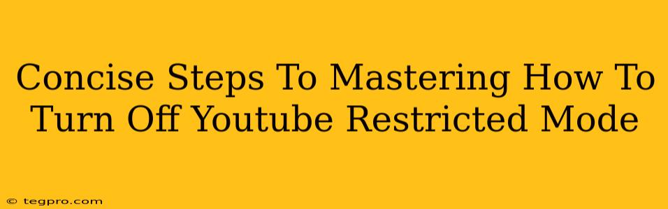 Concise Steps To Mastering How To Turn Off Youtube Restricted Mode