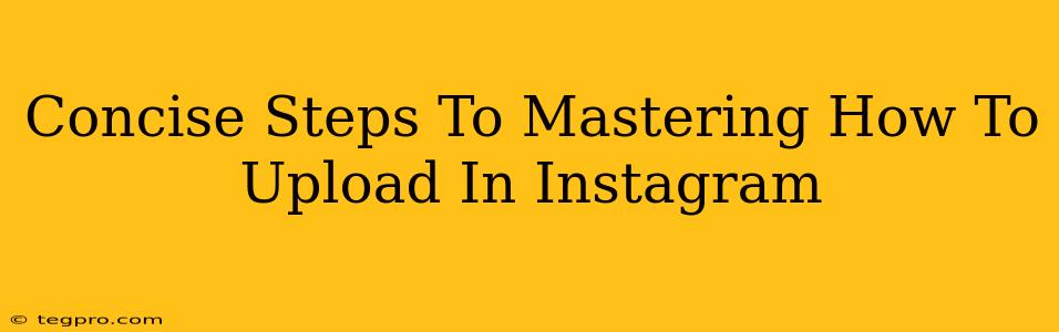 Concise Steps To Mastering How To Upload In Instagram