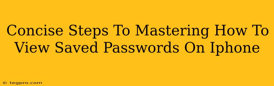 Concise Steps To Mastering How To View Saved Passwords On Iphone