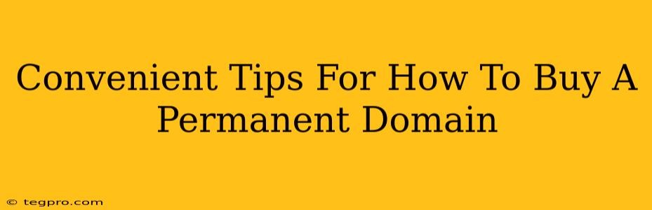 Convenient Tips For How To Buy A Permanent Domain