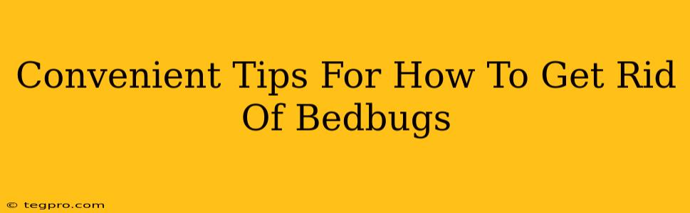 Convenient Tips For How To Get Rid Of Bedbugs