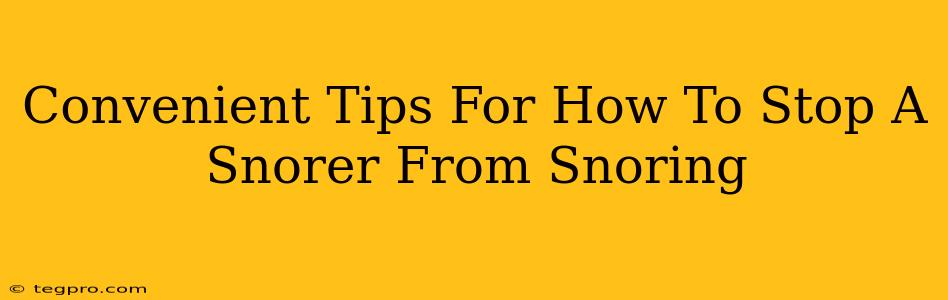 Convenient Tips For How To Stop A Snorer From Snoring