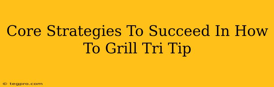 Core Strategies To Succeed In How To Grill Tri Tip