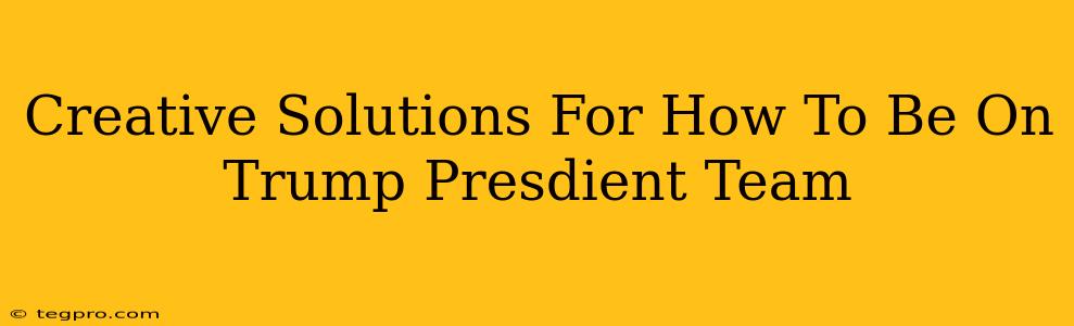 Creative Solutions For How To Be On Trump Presdient Team