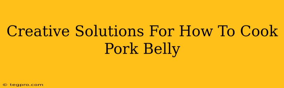 Creative Solutions For How To Cook Pork Belly