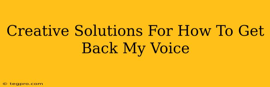 Creative Solutions For How To Get Back My Voice