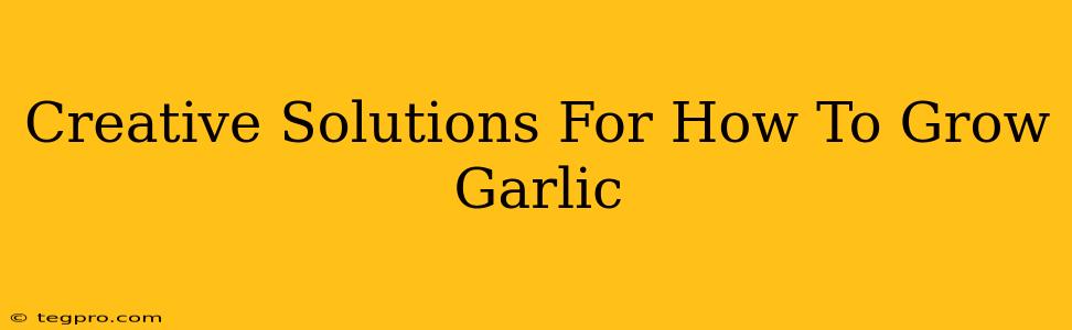 Creative Solutions For How To Grow Garlic