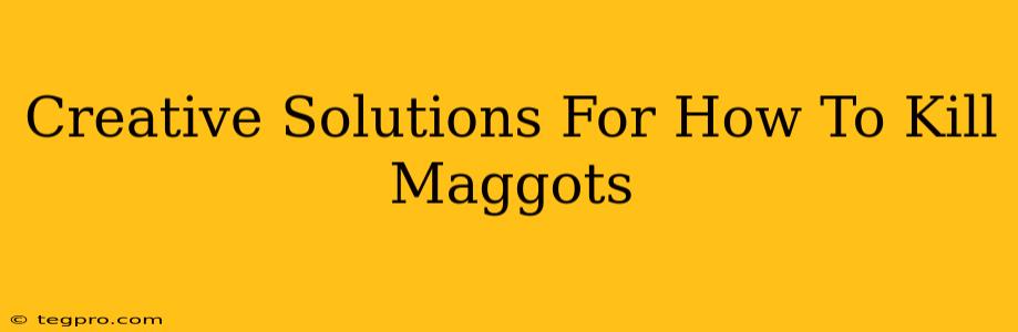 Creative Solutions For How To Kill Maggots