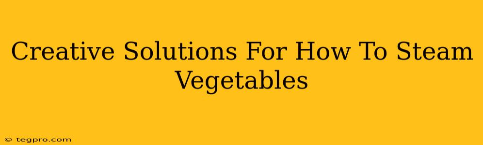 Creative Solutions For How To Steam Vegetables