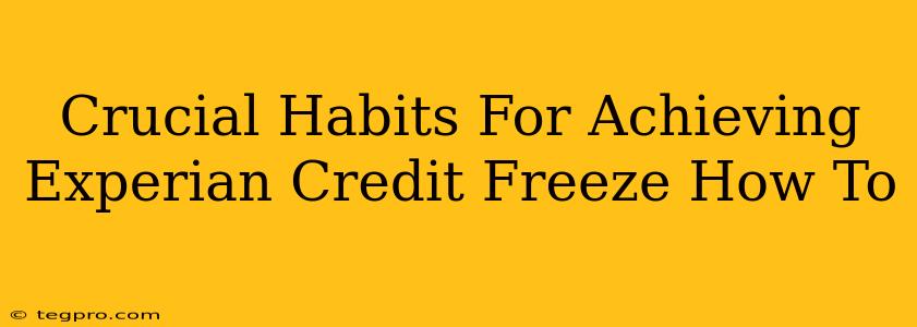 Crucial Habits For Achieving Experian Credit Freeze How To