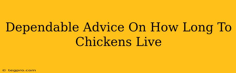 Dependable Advice On How Long To Chickens Live