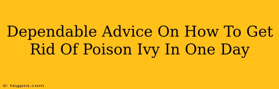 Dependable Advice On How To Get Rid Of Poison Ivy In One Day