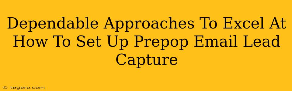 Dependable Approaches To Excel At How To Set Up Prepop Email Lead Capture