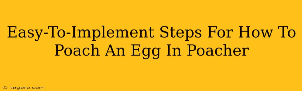 Easy-To-Implement Steps For How To Poach An Egg In Poacher