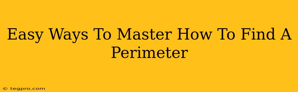 Easy Ways To Master How To Find A Perimeter