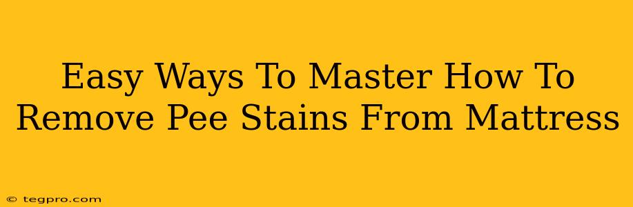 Easy Ways To Master How To Remove Pee Stains From Mattress