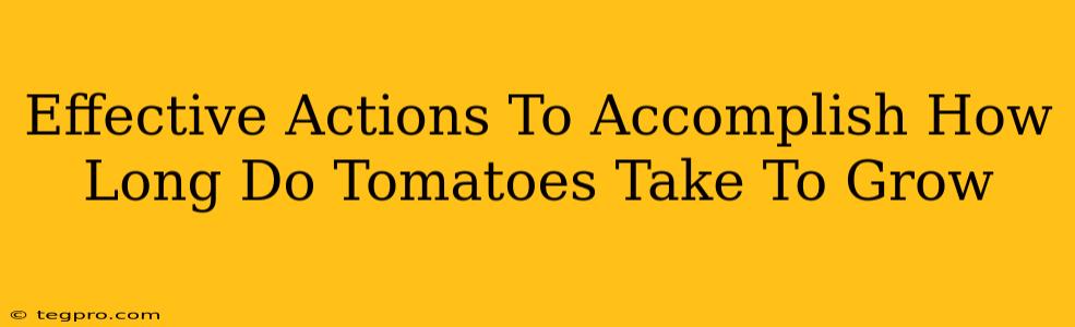 Effective Actions To Accomplish How Long Do Tomatoes Take To Grow