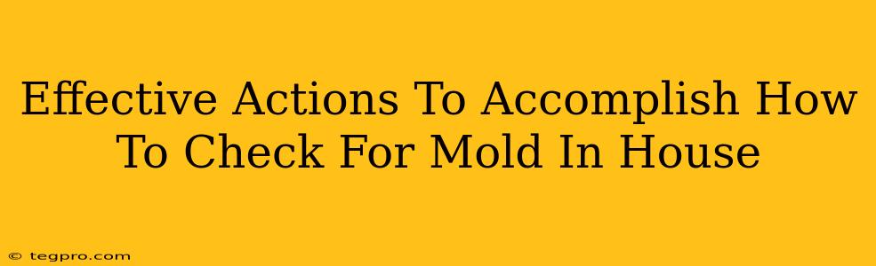 Effective Actions To Accomplish How To Check For Mold In House