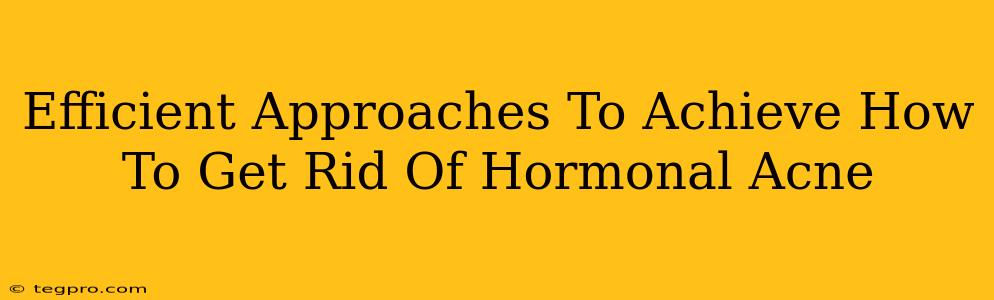 Efficient Approaches To Achieve How To Get Rid Of Hormonal Acne