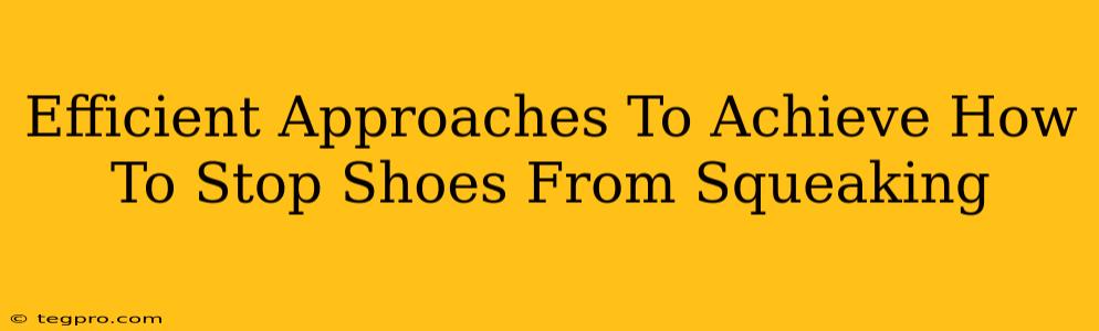 Efficient Approaches To Achieve How To Stop Shoes From Squeaking