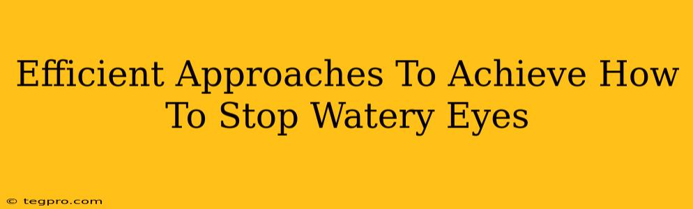 Efficient Approaches To Achieve How To Stop Watery Eyes