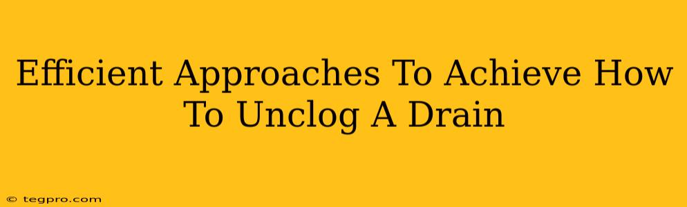 Efficient Approaches To Achieve How To Unclog A Drain