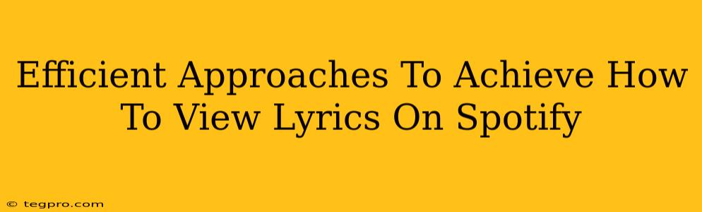 Efficient Approaches To Achieve How To View Lyrics On Spotify