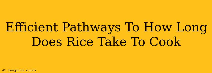 Efficient Pathways To How Long Does Rice Take To Cook