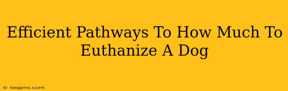 Efficient Pathways To How Much To Euthanize A Dog