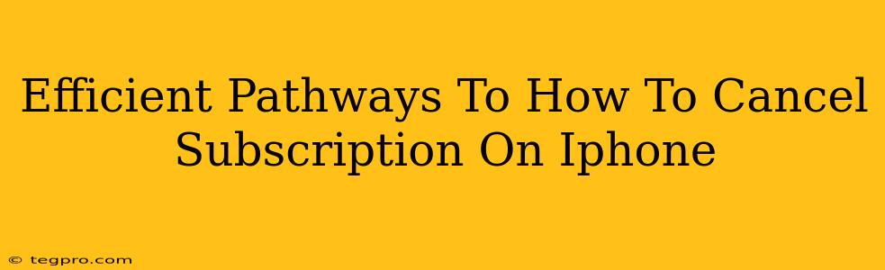 Efficient Pathways To How To Cancel Subscription On Iphone
