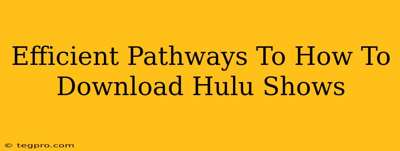 Efficient Pathways To How To Download Hulu Shows