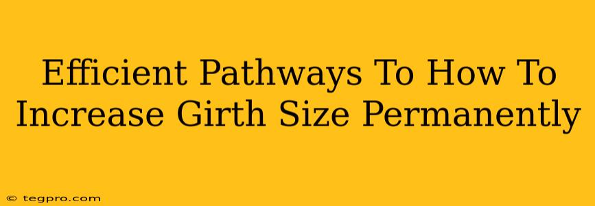 Efficient Pathways To How To Increase Girth Size Permanently