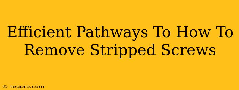 Efficient Pathways To How To Remove Stripped Screws