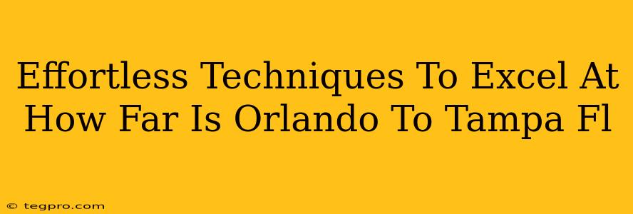 Effortless Techniques To Excel At How Far Is Orlando To Tampa Fl