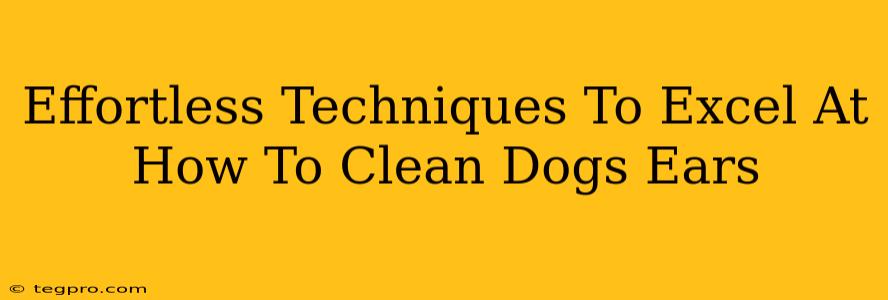 Effortless Techniques To Excel At How To Clean Dogs Ears