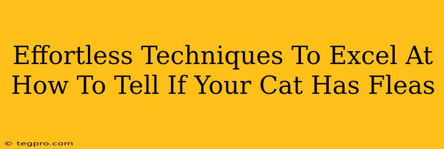 Effortless Techniques To Excel At How To Tell If Your Cat Has Fleas