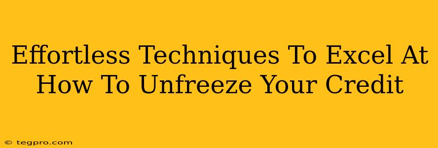 Effortless Techniques To Excel At How To Unfreeze Your Credit