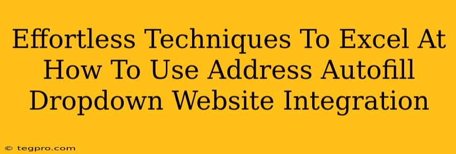 Effortless Techniques To Excel At How To Use Address Autofill Dropdown Website Integration