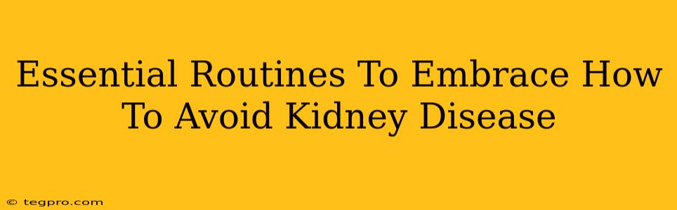 Essential Routines To Embrace How To Avoid Kidney Disease