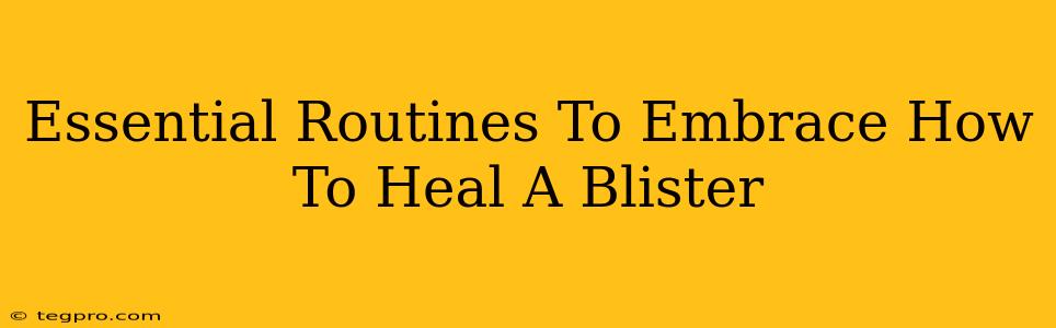 Essential Routines To Embrace How To Heal A Blister