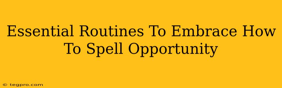 Essential Routines To Embrace How To Spell Opportunity