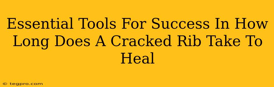 Essential Tools For Success In How Long Does A Cracked Rib Take To Heal