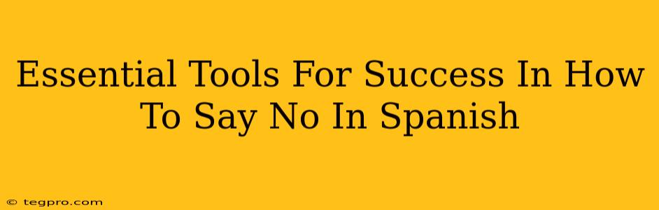 Essential Tools For Success In How To Say No In Spanish