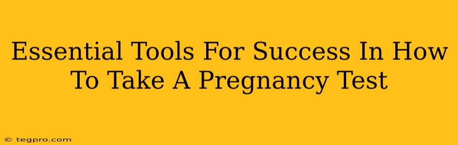 Essential Tools For Success In How To Take A Pregnancy Test