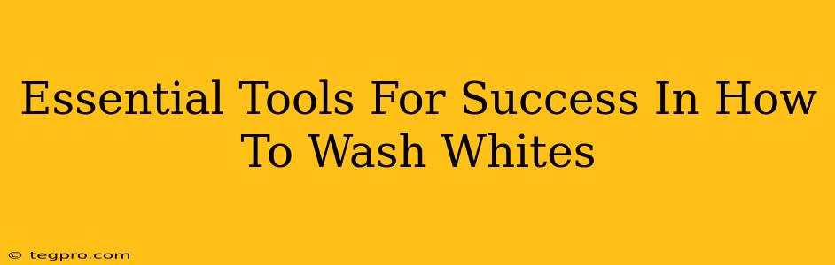 Essential Tools For Success In How To Wash Whites