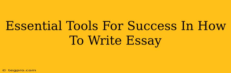 Essential Tools For Success In How To Write Essay