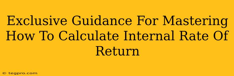 Exclusive Guidance For Mastering How To Calculate Internal Rate Of Return